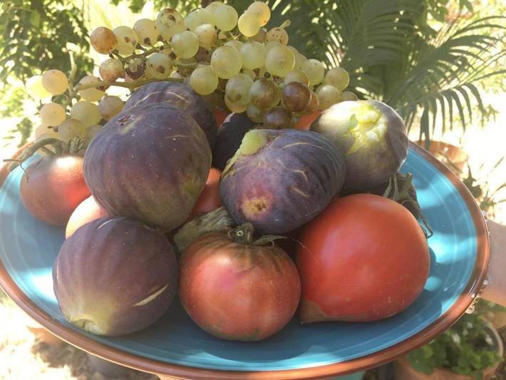 Villa pour 4 personnes, avec piscine ainsi que jardin et vue, adapté aux familles à Bormes-les-Mimosas - 4