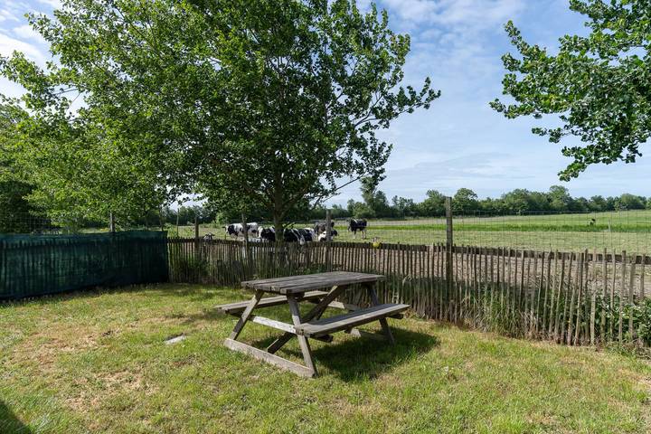 Ferienhaus für 4 Personen, mit Garten, kinderfreundlich in Aagtekerke - 2