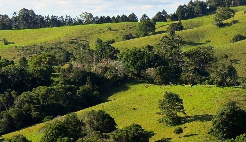Luxury Accommodation - Harris in Montville (Queensland), Sunshine Coast