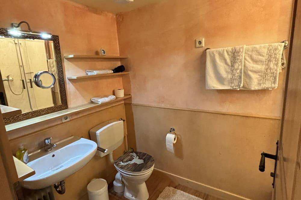 Ganze Wohnung, Sauna-Wohnung \"Landhaus Zell am See\" in Niedernsill. Haustierfreundlich! in Niedernsill, Pinzgau
