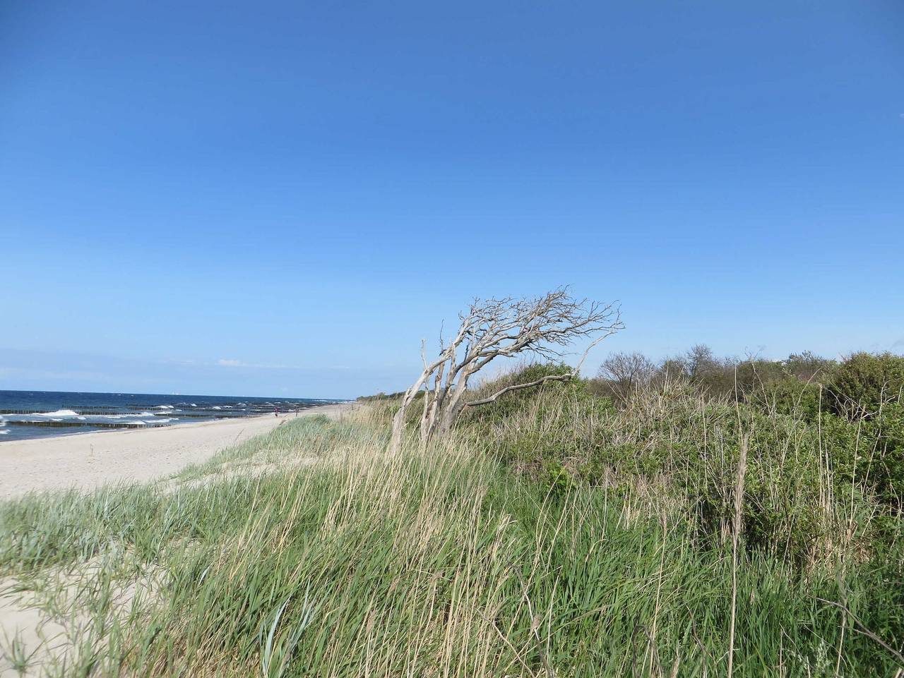 Ganze Ferienwohnung, Exkl. App. Buhne, Kamin, W-Lan, 250m zum Strand, Waschm. in Börgerende-Rethwisch, Rostock und Umgebung