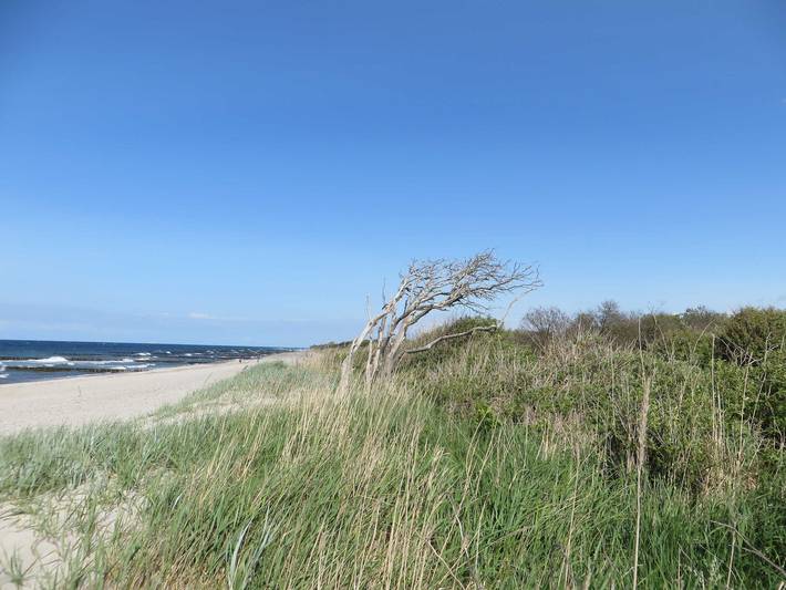 Ganze Ferienwohnung, Exkl. App. Buhne, Kamin, W-Lan, 250m zum Strand, Waschm. in Börgerende, Börgerende-Rethwisch