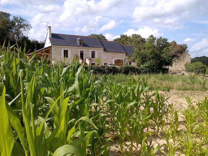 Chambre d’hôte pour 2 personnes, avec vue ainsi que jardin et piscine dans la Sarthe - 2