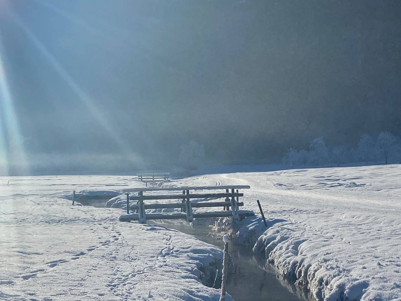 Ganze Ferienwohnung, Haus Sonne & Spa - Ferienwohnung Sonnenaufgang in Bizau, Bregenzerwald