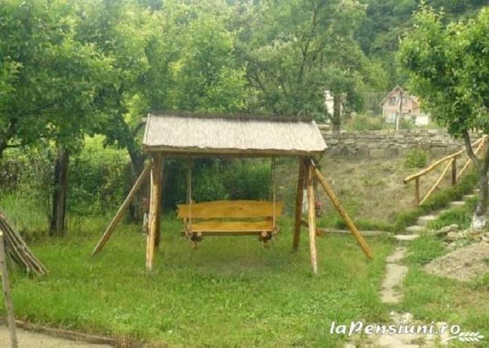Maison d’hôte pour 2 personnes, avec jardin, animaux acceptés dans Mureș - 3