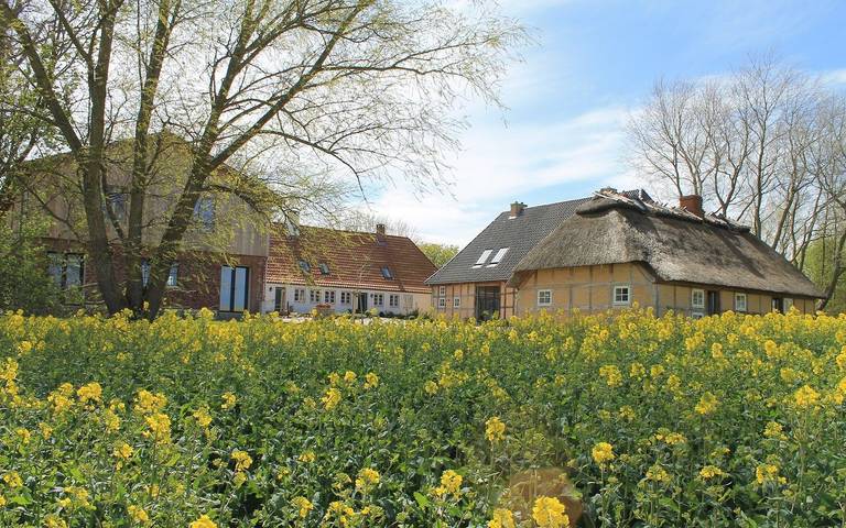 Ferienhaus für 39 Personen, mit Garten und Ausblick sowie Sauna, mit Haustier