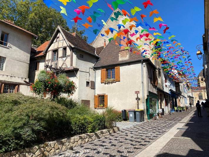 Gîte pour 4 personnes, avec vue ainsi que piscine et terrasse, animaux acceptés à Saint-Désiré - 3