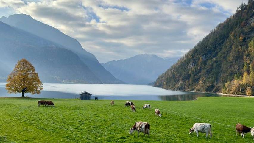 Ferienwohnung für 4 Personen, mit Garten am Achensee - 2