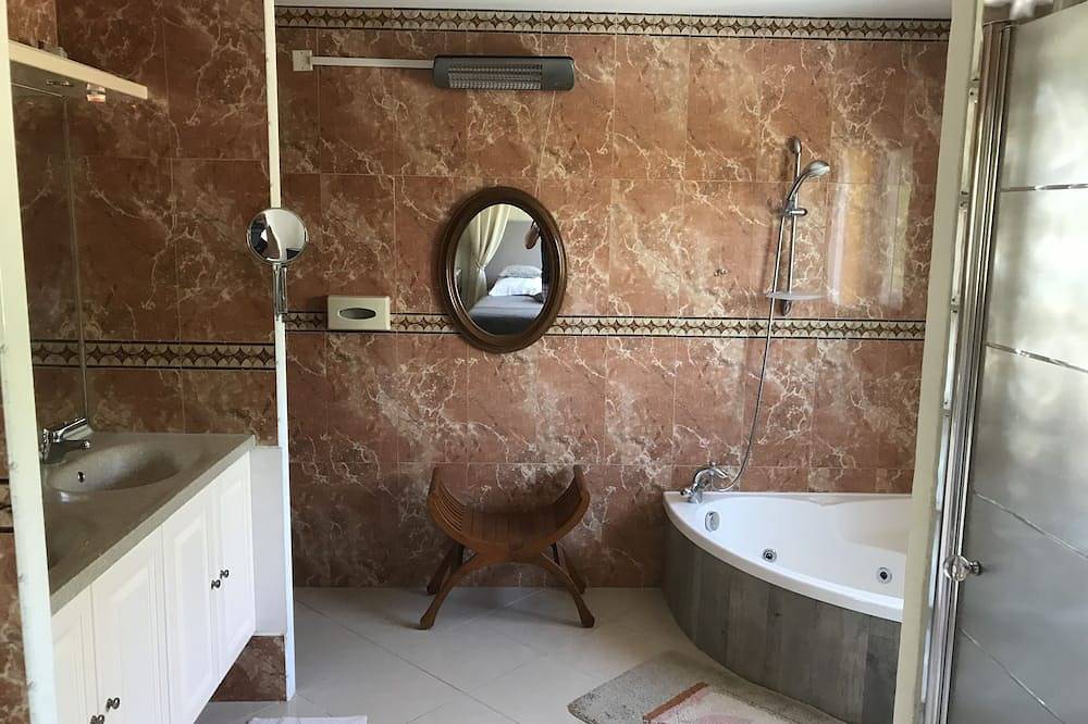 Luxury villa 160 m2 air-conditioned, fenced garden 4000m2, swimming pool, heated jacuzzi, animals in Le Luc, Region de Draguignan