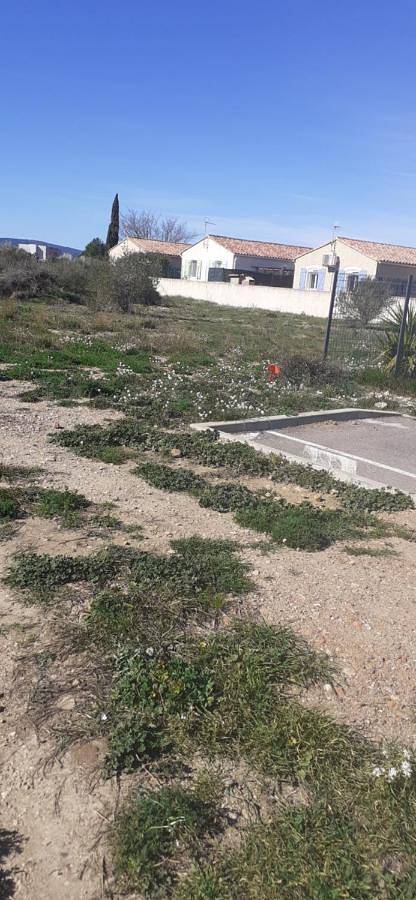 Maison d’hôte pour 2 personnes, avec Terrasse à Sigean - 4