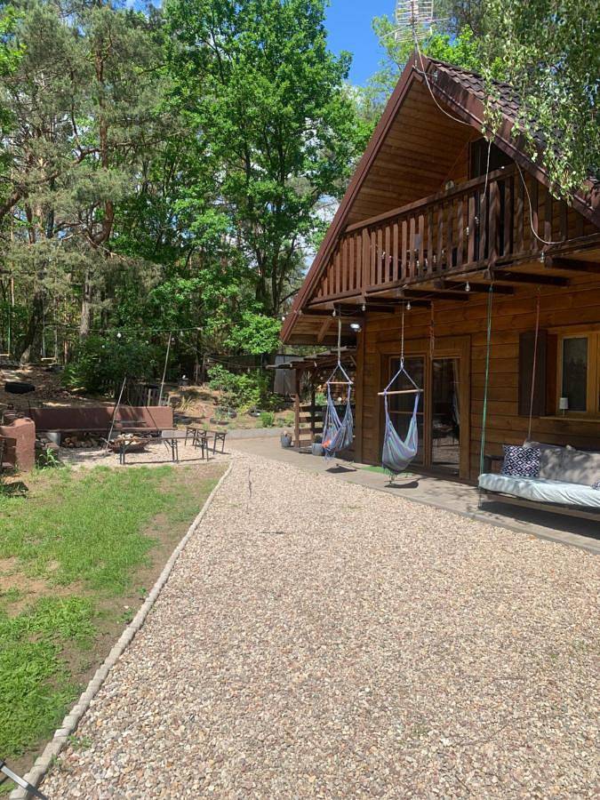 Dream Forest Cabin -dom w lesie pod Warszawą in Mazowsze