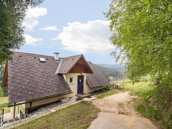 Ferienhaus für 6 Personen, mit Garten, kinderfreundlich in Kärnten - 3