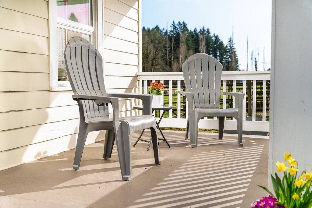 Single Level Country Cottage, New Decor, Huge Yard w/ Farmland Views, 5 Min to Newberg in Yamhill County