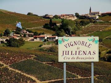 Gîte pour 8 Personnes dans Pruzilly, Région de Mâcon, Photo 4