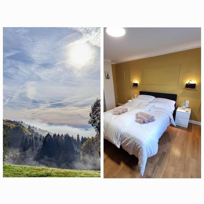 Gîte pour 4 personnes, avec jardin et vue, animaux acceptés à Neustadt bei Coburg - 2