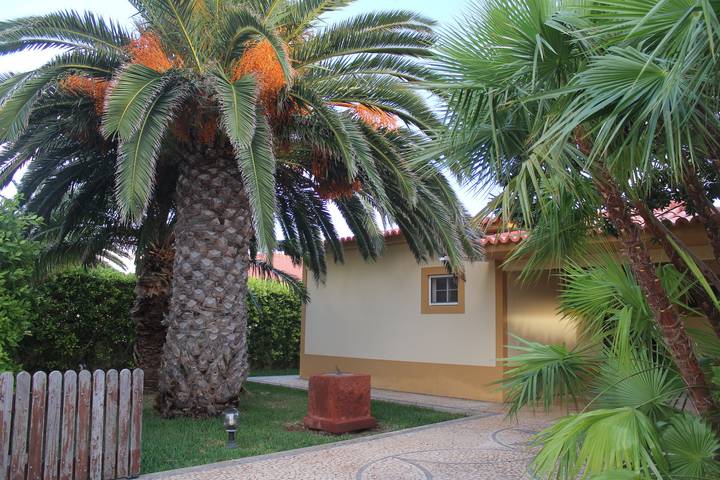 Apartamento para 6 personas, con Terraza y Jardín en Porto Santo