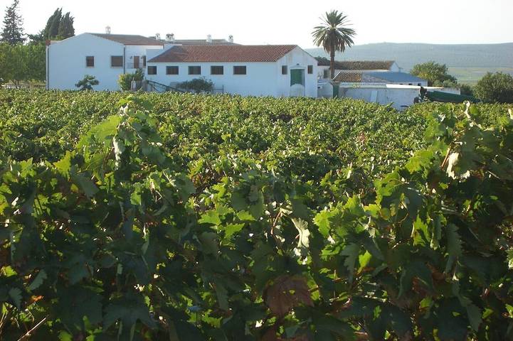 Apartamento de vacaciones para 8 personas, con balcón y piscina, Se admiten mascotas - 1