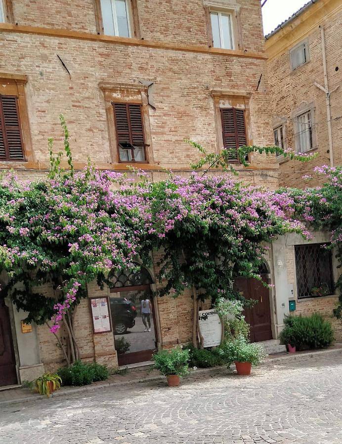 Appartamento per 10 persone, con panorama in Corinaldo