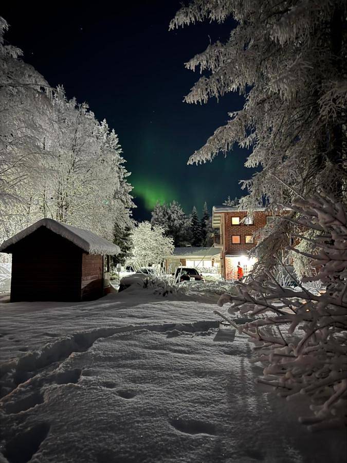 Two-Bedroom Apartment with Balcony in Rovaniemi, Laponie