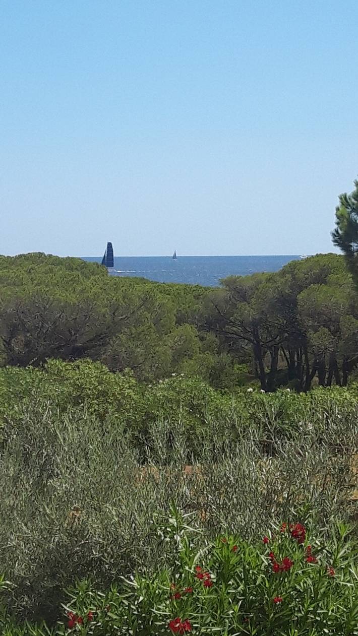Ferienhaus für 5 Personen, mit Kinderpool und Garten in Budoni - 3