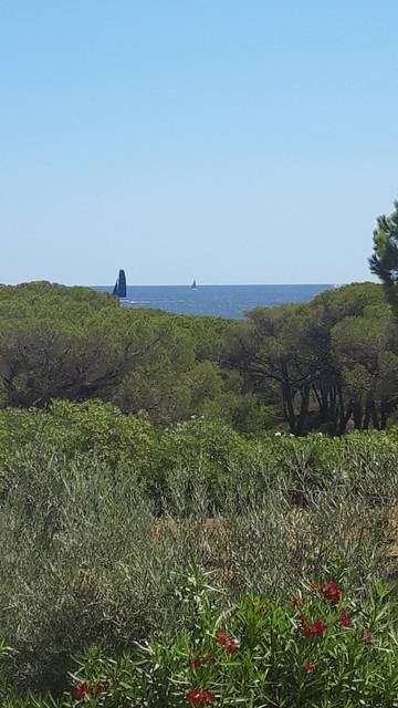 Casa Vacanza per 5 Persone in Budoni, Olbia-Tempio, Foto 2