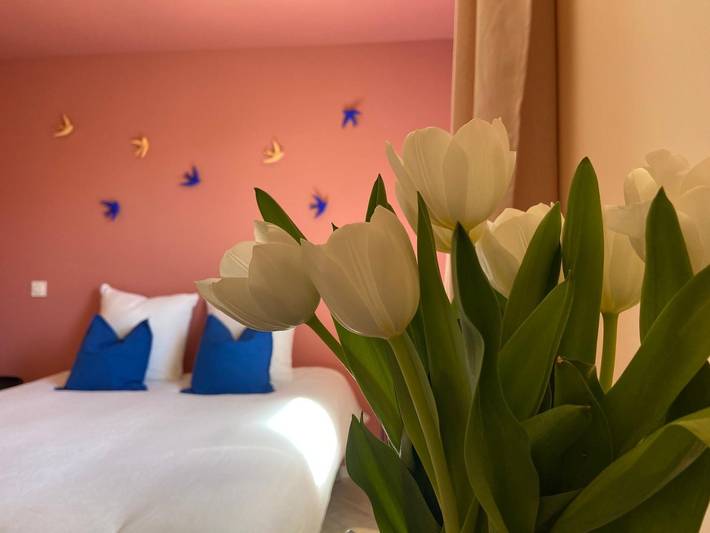 Chambre d’hôte pour 2 personnes, avec piscine et jardin dans Hautes-Alpe - 3