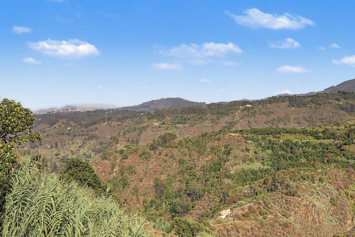 Hel studio-lejlighed, Penthouse with a view in Santa María de Guía de Gran Canaria, Nordlige Gran Canarien