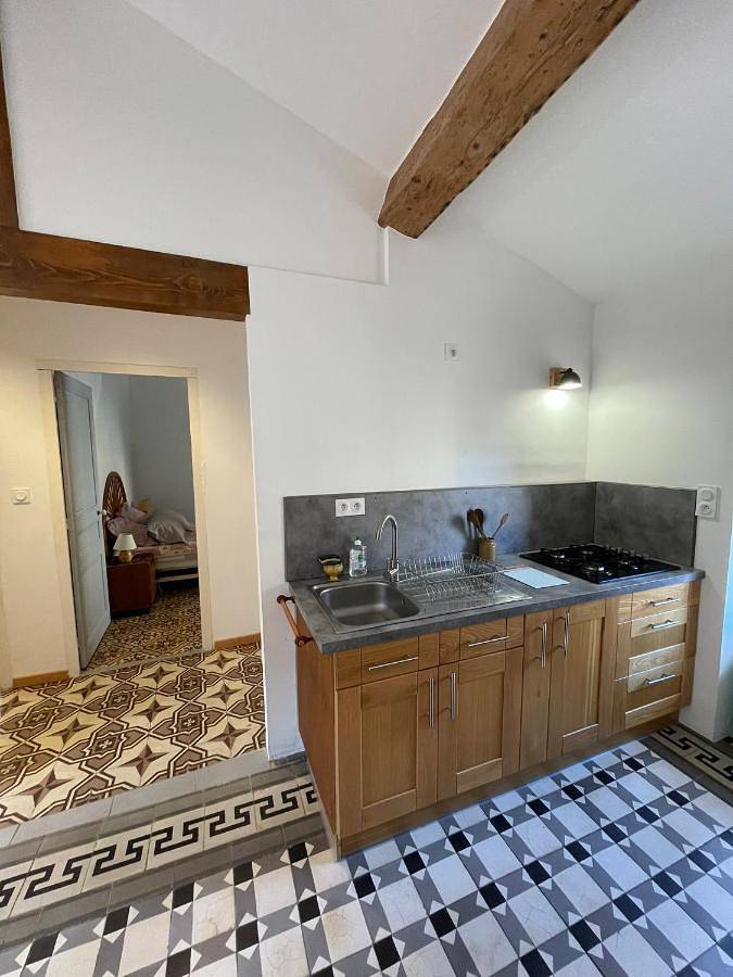 Gîte pour 4 personnes, avec vue, animaux acceptés à Minerve (Hérault) - 3
