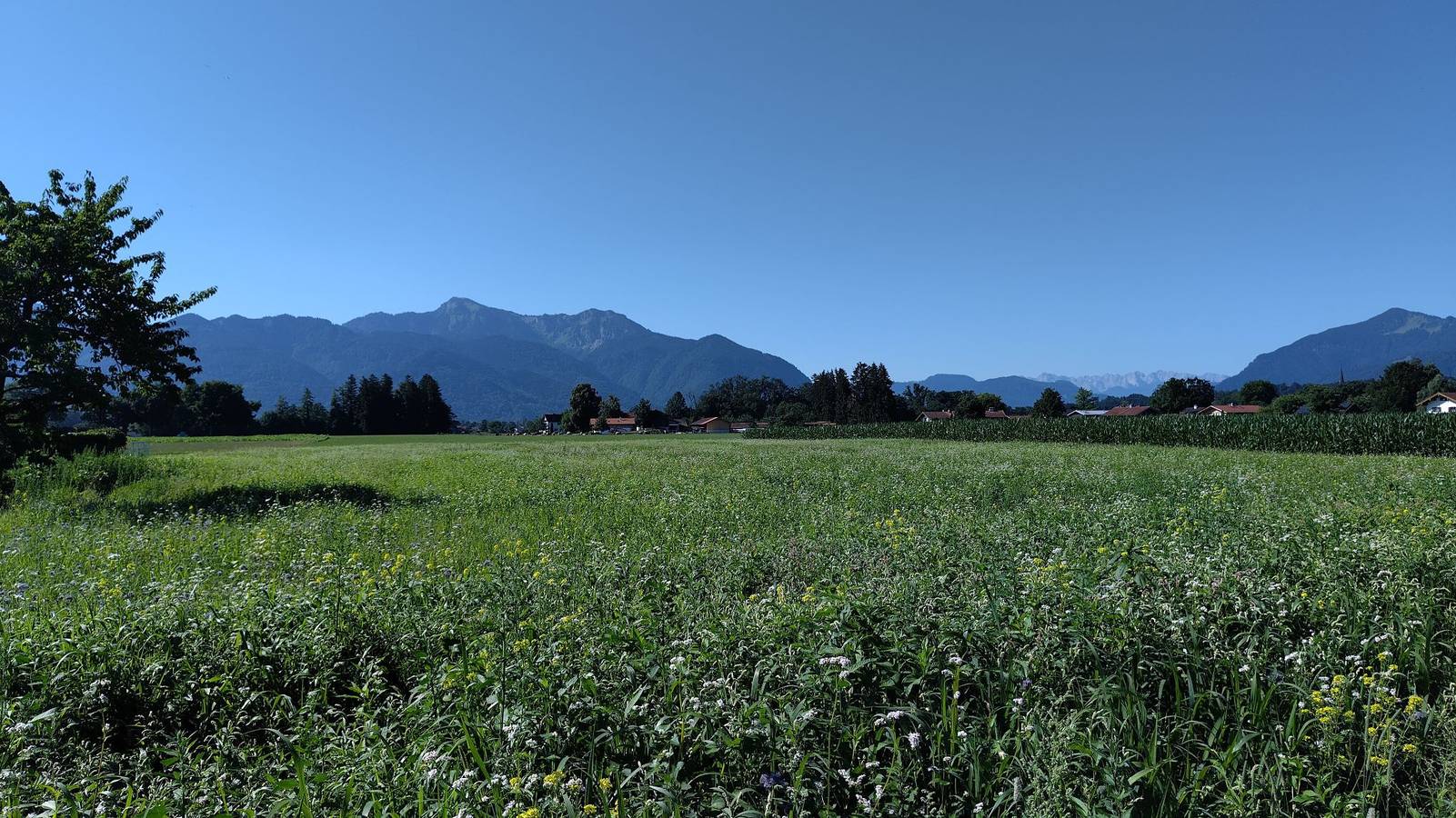 Ganze Ferienwohnung, Chiemsee Apartment 17 - Moderne und dennoch gemütliche Ferienwohnung mit Südterrasse in Übersee, Chiemsee