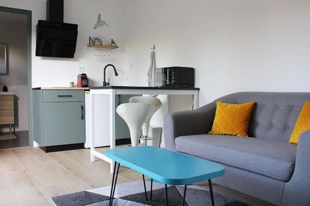 Appartement entier, Studio avec terrasse et parking in Castelginest, Toulouse et ses environs