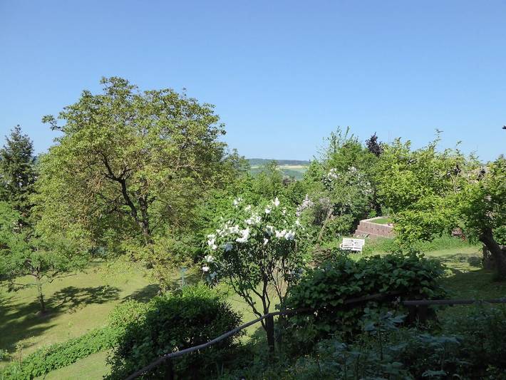Ferienwohnung mit 1 Schlafzimmer in Michelstadt, Main-Odenwald
