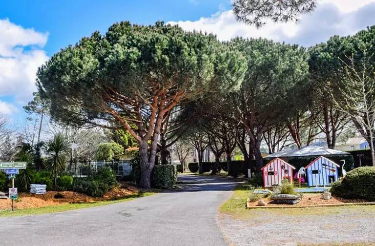 Privilège - 27m² - 3 zimmer - klimaangle + Tv + Spüllmachine 6 Personen in Audenge, Arcachon und Umgebung