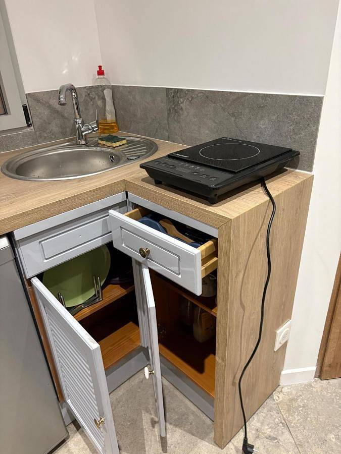 Gîte pour 2 personnes, avec vue, animaux acceptés à Neuville-sur-Saône - 2