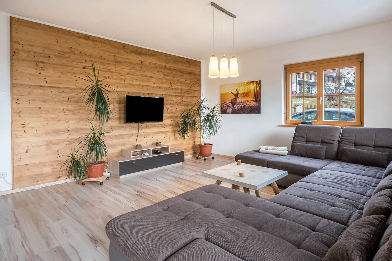 Ganze Wohnung, Ferienwohnung Nr 4 Tannenzapfen mit Bergblick und Gemeinschaftsgarten in Höchenschwand, Südschwarzwald