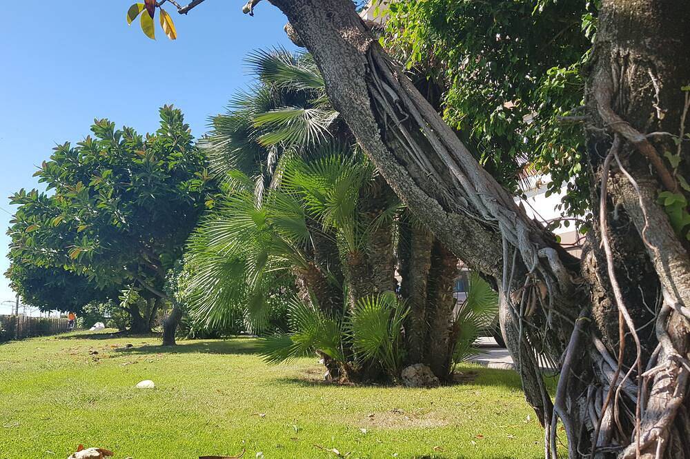 Entire apartment, Great apartment on the beach, very close to Barcelona. First sea line in Vilassar de Mar, Costa del Maresme