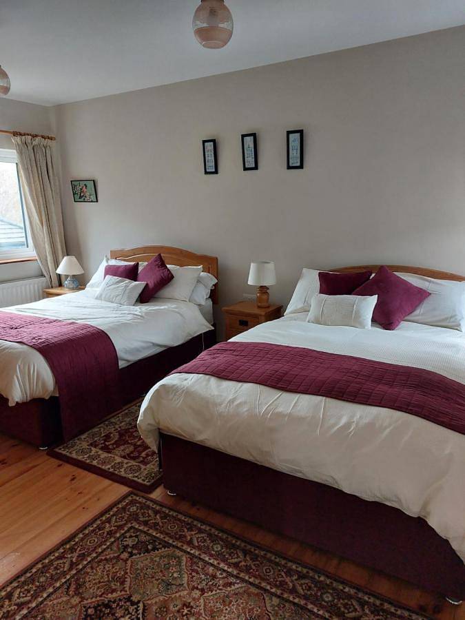Location de vacances pour 2 personnes, avec jardin à Westport - 2
