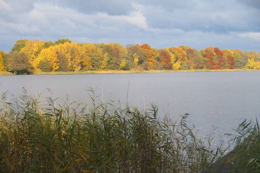 Ganze Wohnung, All Inclusive Fewo Am See  (48012) in Priepert, Mecklenburg-Strelitz