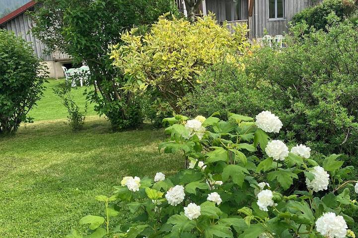 Holiday apartment for 4 people, with pets - 1