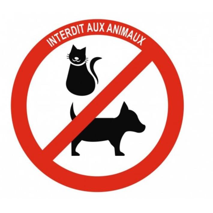 Gîte pour 6 personnes, adapté aux familles à Metz - 4