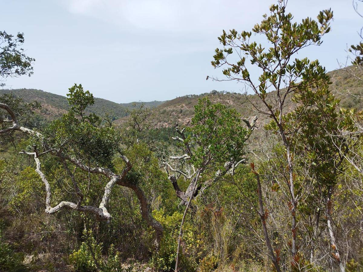 Herdade da Maceira in São Luís, Costa Alentejana