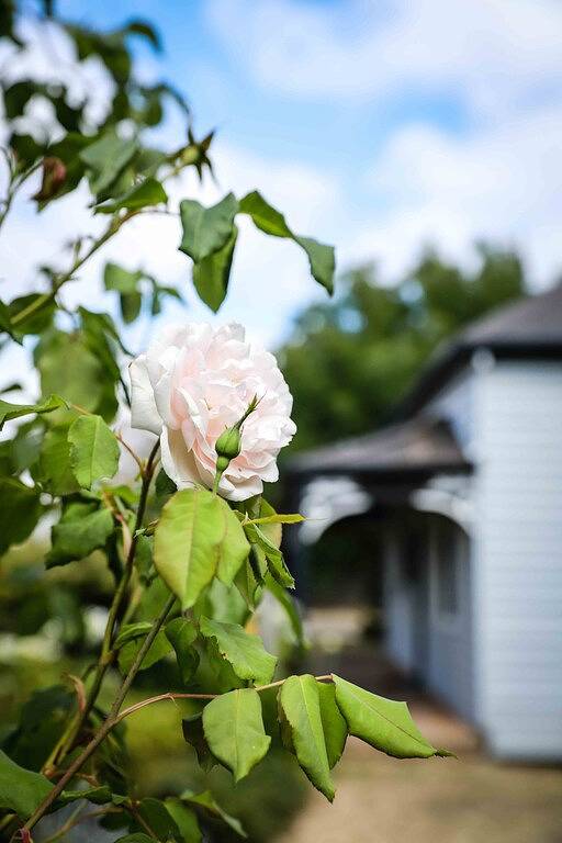 Trimble Cottage in Daylesford, Hepburn Shire
