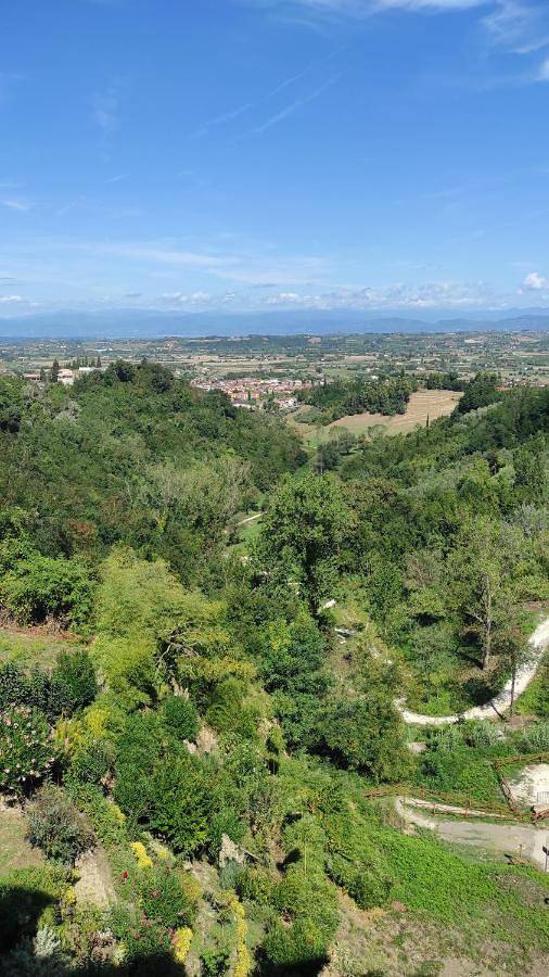 Maison d’hôte pour 2 personnes, avec terrasse, animaux acceptés à San Miniato - 3