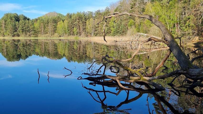 Ferienwohnung für 2 Personen, mit Balkon in der Pfalz