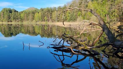 Ferienwohnung für 2 Personen, mit Balkon in der Pfalz