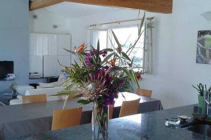 Location de vacances pour 18 personnes, avec jardin et jacuzzi, animaux acceptés à Eccica-Suarella - 2