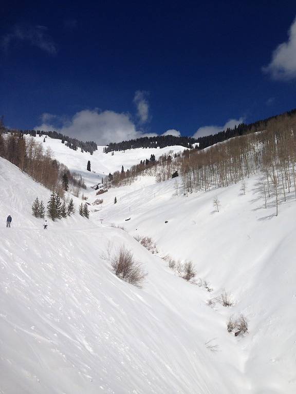 Ganze Wohnung, Nur wenige Schritte von der Gondelbahn und Skischule im Herzen von Lionshead Dorf in Vail Ski Resort, Vail