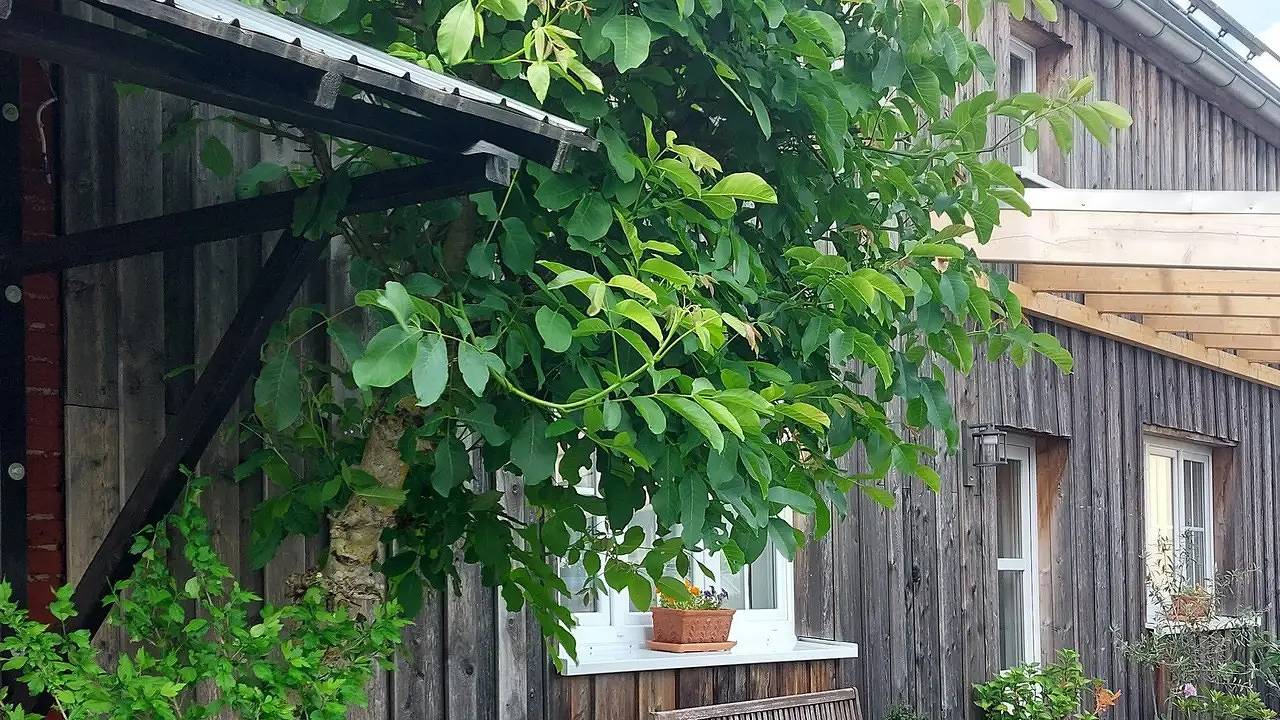 Ganze Ferienwohnung, Ferienwohnung für 4 Personen (56 m²) in Höhn in Höhn, Westerburg & Umgebung