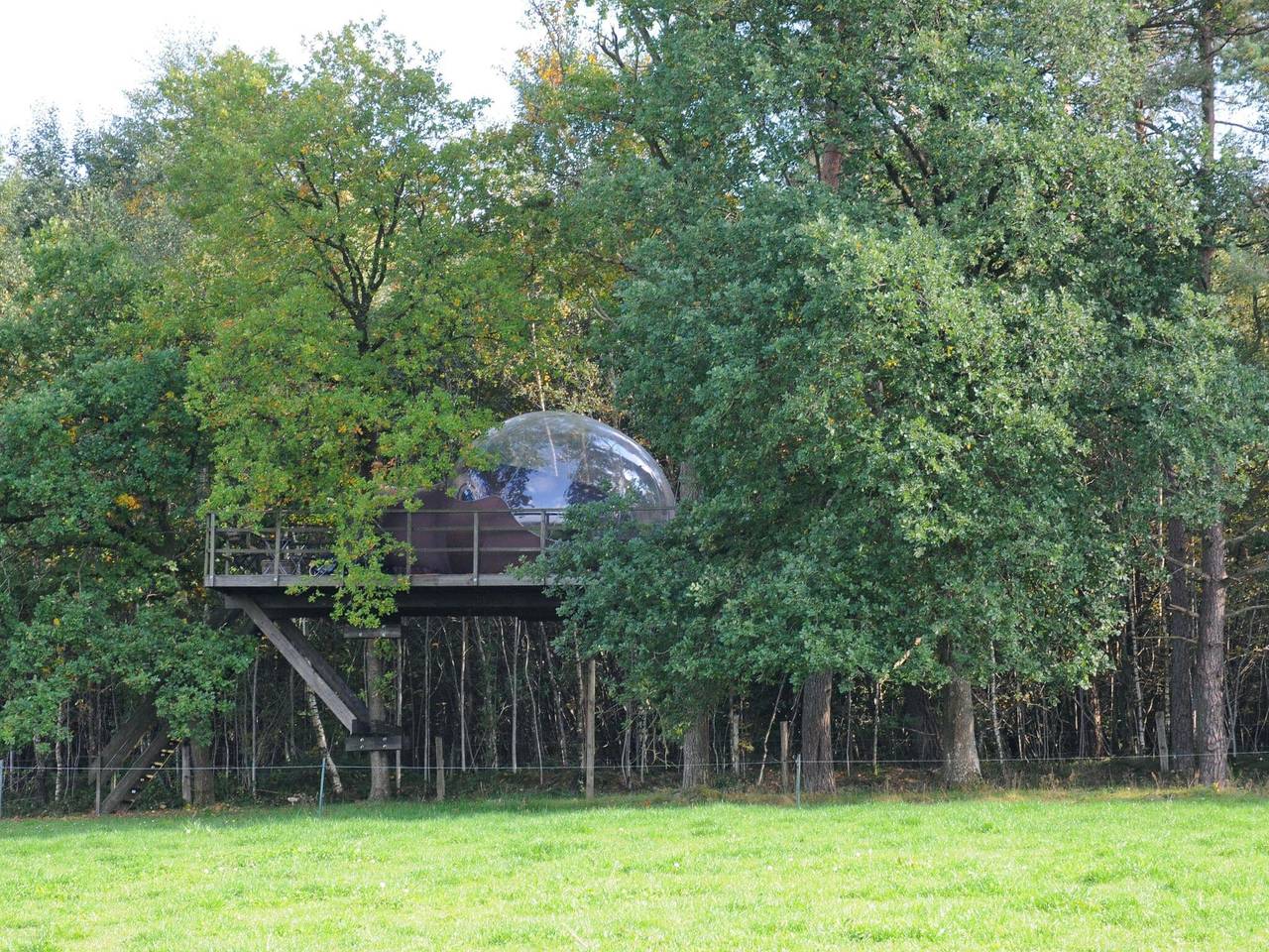 Tentlodge met terras in Érezée, Provincie Luxemburg