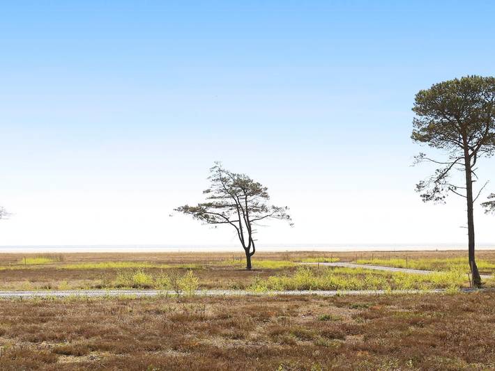 Ferienhaus für 14 Personen, mit Terrasse, kinderfreundlich auf Læsø - 3