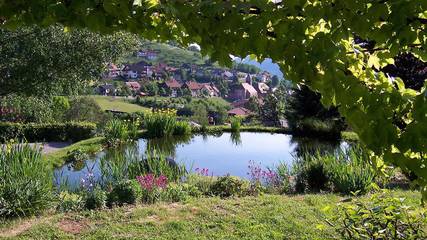 Ferienwohnung für 5 Personen in Seebach (Ortenaukreis), Mittlerer Schwarzwald, Bild 4